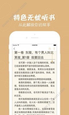 爱游戏网页登录